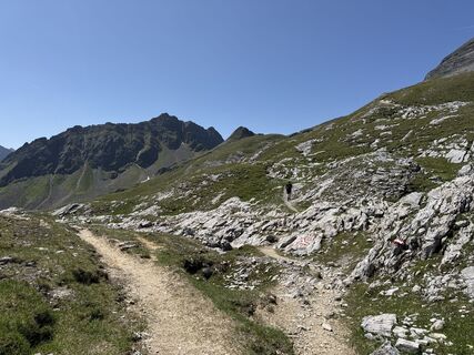 Foto von Grizzli entlang der Tour