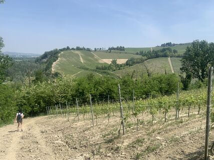 Fotografia z Toni Lerda na trase