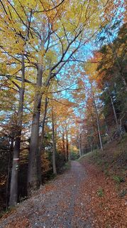 Fotografia z Susi Puhl na trase