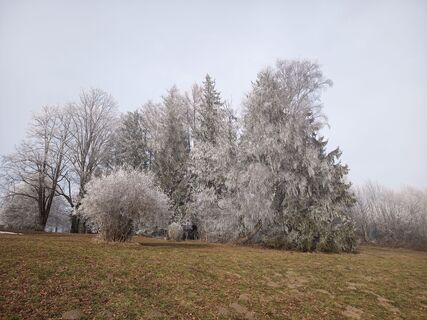 Foto von Lehnerchristian entlang der Tour