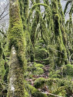 Foto von Guillaume Condat entlang der Tour