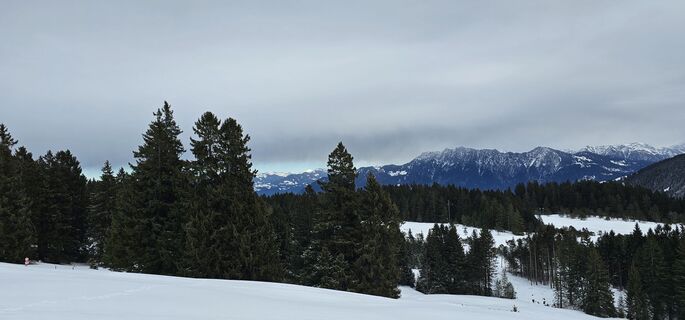 Foto von Wanderratte entlang der Tour