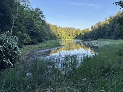 Photo de Robert - 1 le long du parcours