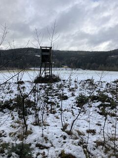 Photo de Daniel Vogel le long du parcours