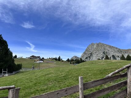 Foto de Roger Vogel a lo largo del recorrido