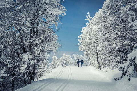 Winterwanderung