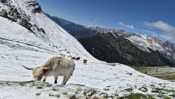 Photo de M. K. 12 le long du parcours