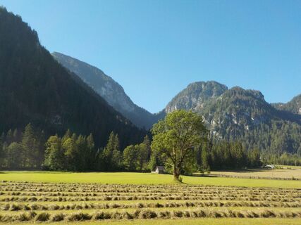 Hinterwildalpen