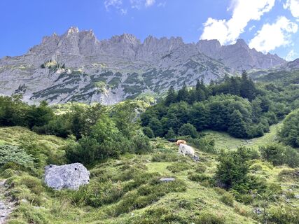 Photo de EvaH le long du parcours