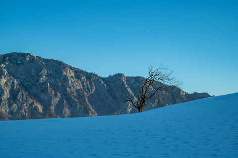 Fotografie z Ekhard Oberleitner na trase