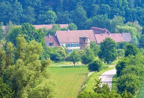 Stifterhof in Odenheim