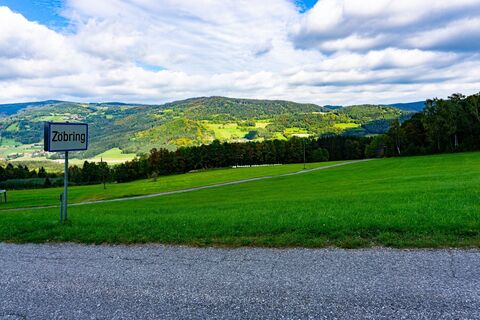 Zörbing Richtung Oberhohenau