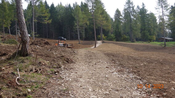 am Weg zum Felixer Weiher