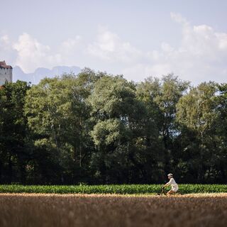 Blick auf Burg Gutenberg in Balzers