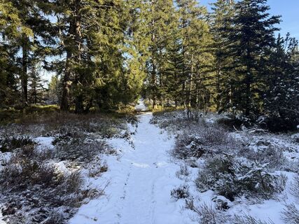 Fotografija s spletne strani Nico Eisner na poti