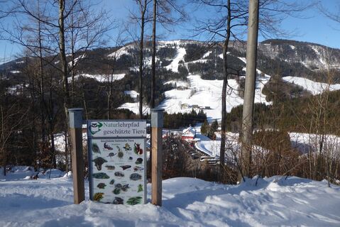 Hennesteck (Annaalm) mit den Reidlliften