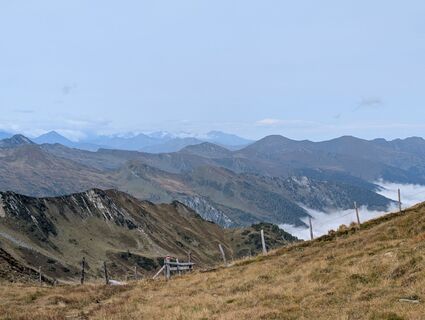 Foto de Phil a lo largo del recorrido