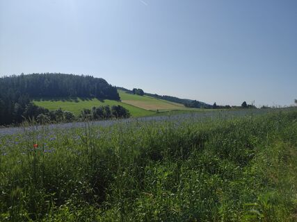Foto da stuebi lungo il tour