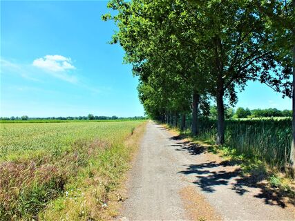 Entspannung pur
