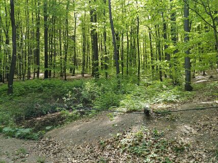 Foto von Poschacher entlang der Tour