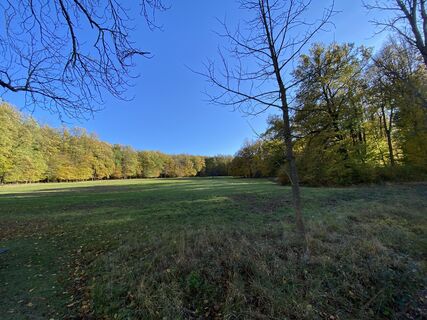 Фото с сайта Thomas Handlir во время экскурсии