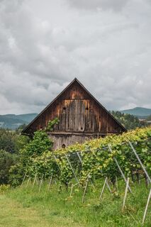 Aussicht