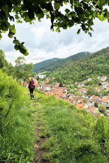 Wanderkurs auf die Schiltacher Altstadt