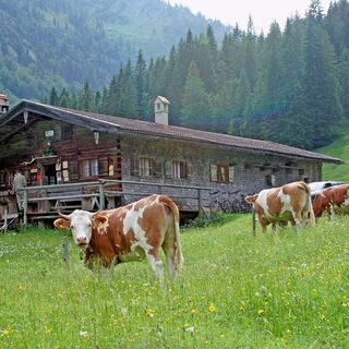 Bayralm bei Kreuth