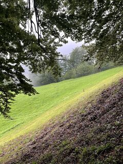 Fotografie de la Martin Reinhard de-a lungul turului