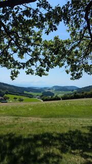 Fotografia z Franz Schönbichler na trase