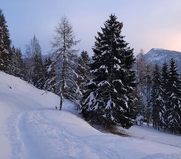 Winterlandschaft