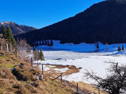Fotografia z Walter Köllner na trase