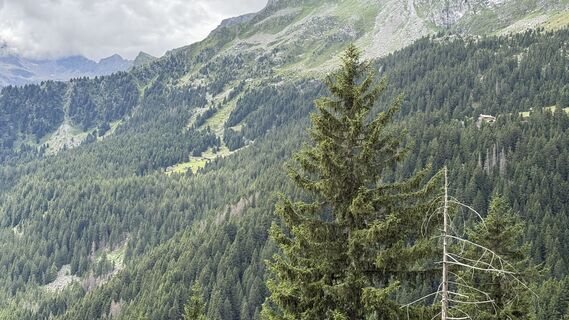 Fotó a Daniel Härtel honlapról a túra során