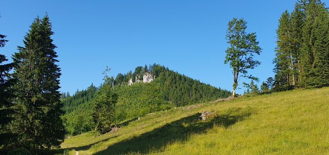 Fotografija s spletne strani mike wm na poti