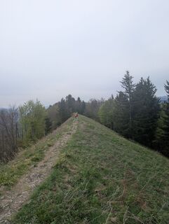 Foto fra SFK underveis på turen