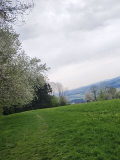 Photo de Silvia Jungwirth le long du parcours