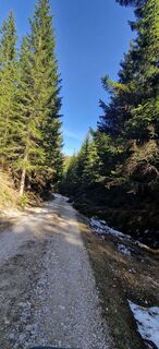 Foto von Utassy Tóth Johanna entlang der Tour