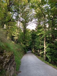 Photo de Aner le long du parcours