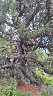 Foto de Manfred Zarnhofer a lo largo del recorrido