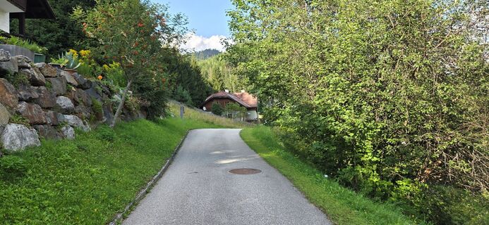 Blick zurück