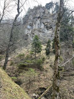 Fotografia z Dorgerry na trase