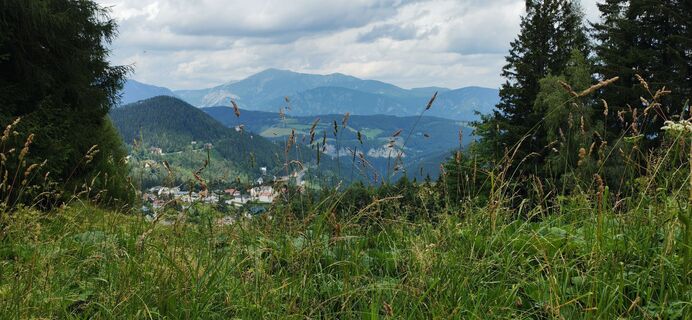 Photo de Gessi le long du parcours
