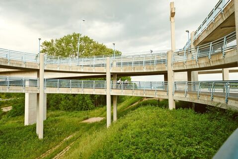 Radspindel bei Klein-Pöchlarn