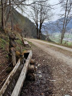 Fotografia z Bernd Zengerling na trase