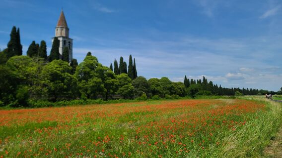 Foto von SeeWolf entlang der Tour