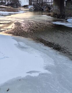 Foto de Mimi a lo largo del recorrido