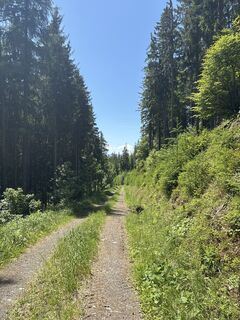 Foto von Mandy Friedrich entlang der Tour