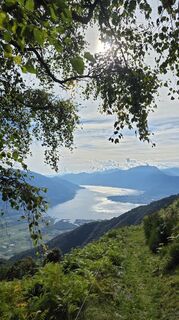 Fotografija s spletne strani Philipp Reiß na poti