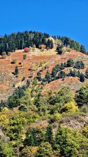 Fotografie z Fabrizi Mellano na trase
