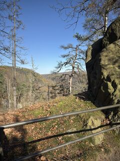 Fotografia z Steffen Kiesel na trase